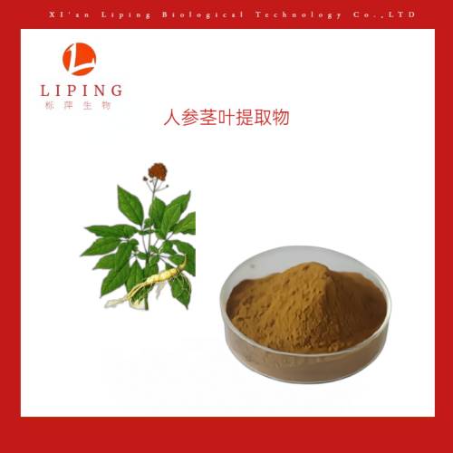 人參皂甙10%人參莖葉提取物
