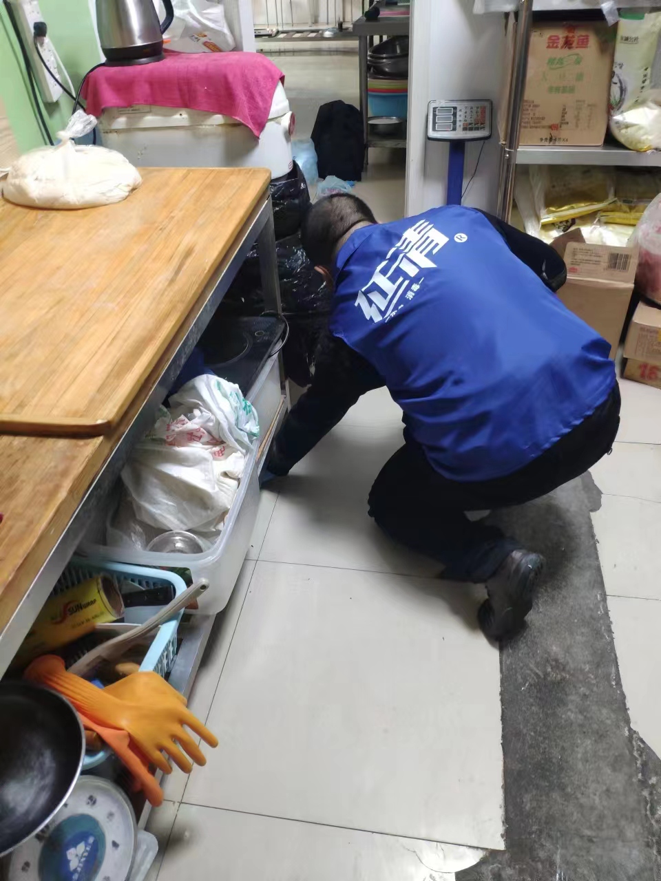 延吉除蟑螂-滅鼠殺螞蟻-華清公司-上門服務
