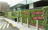 佛山綠化植物墻