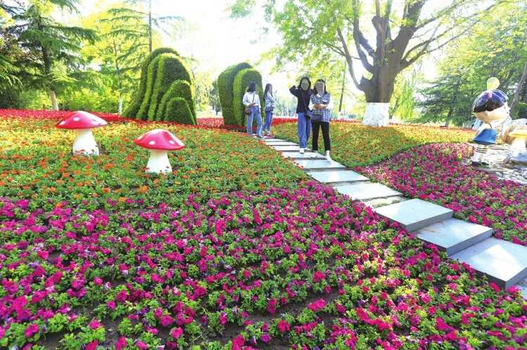 佛山时令花草销售种植