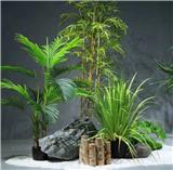佛山綠植購買