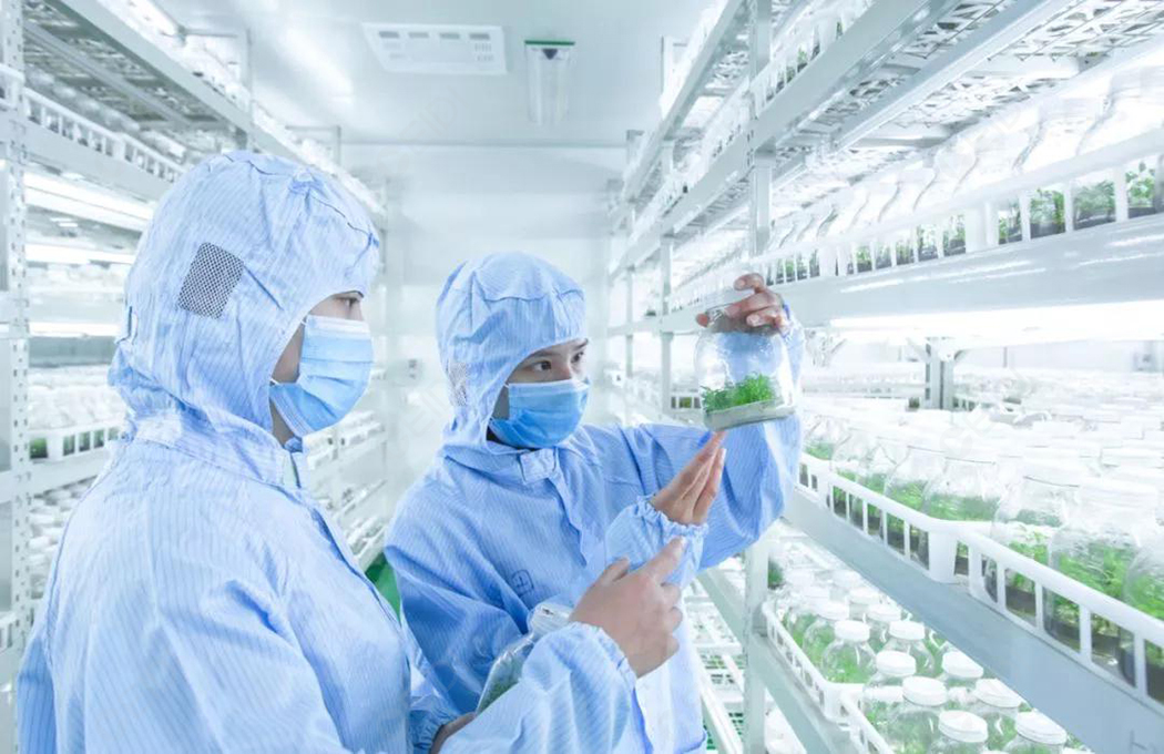 植物工廠,植物組培室凈化——美泰諾格