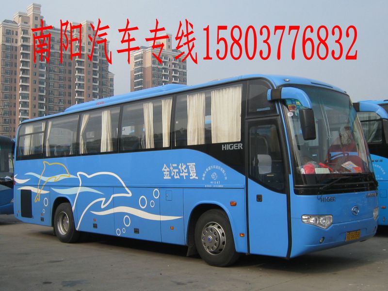 南陽到常熟汽車順風車拼車回程車返程車寵物貨物托運15861212886原始圖片3