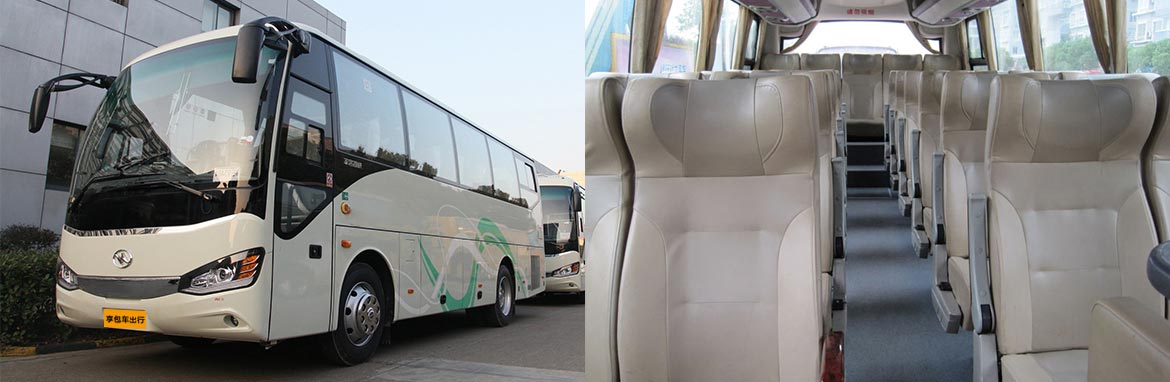 南陽到麗水汽車順風車拼車回程車返程車寵物貨物托運15861212886
