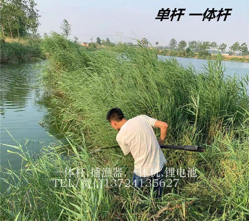 一體桿批發(fā)價(jià)格,鋰電池可充電打漁抄網(wǎng)原始圖片3