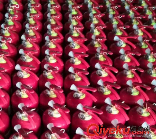 光谷東滅火器過(guò)期了區(qū)哪里維修 灌粉 充裝 加壓
