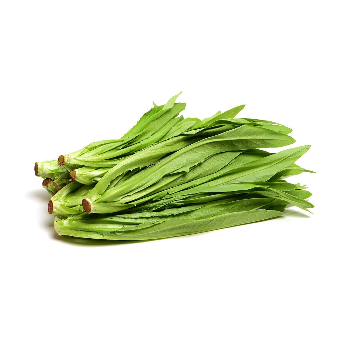 廣昇和未央蔬菜配送公司 西安食材配送