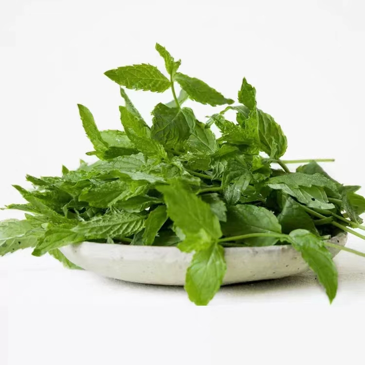 選擇蔬菜配送公司的優??勢？