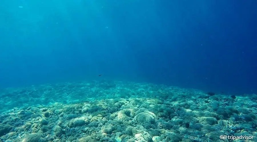 沉积物检测服务