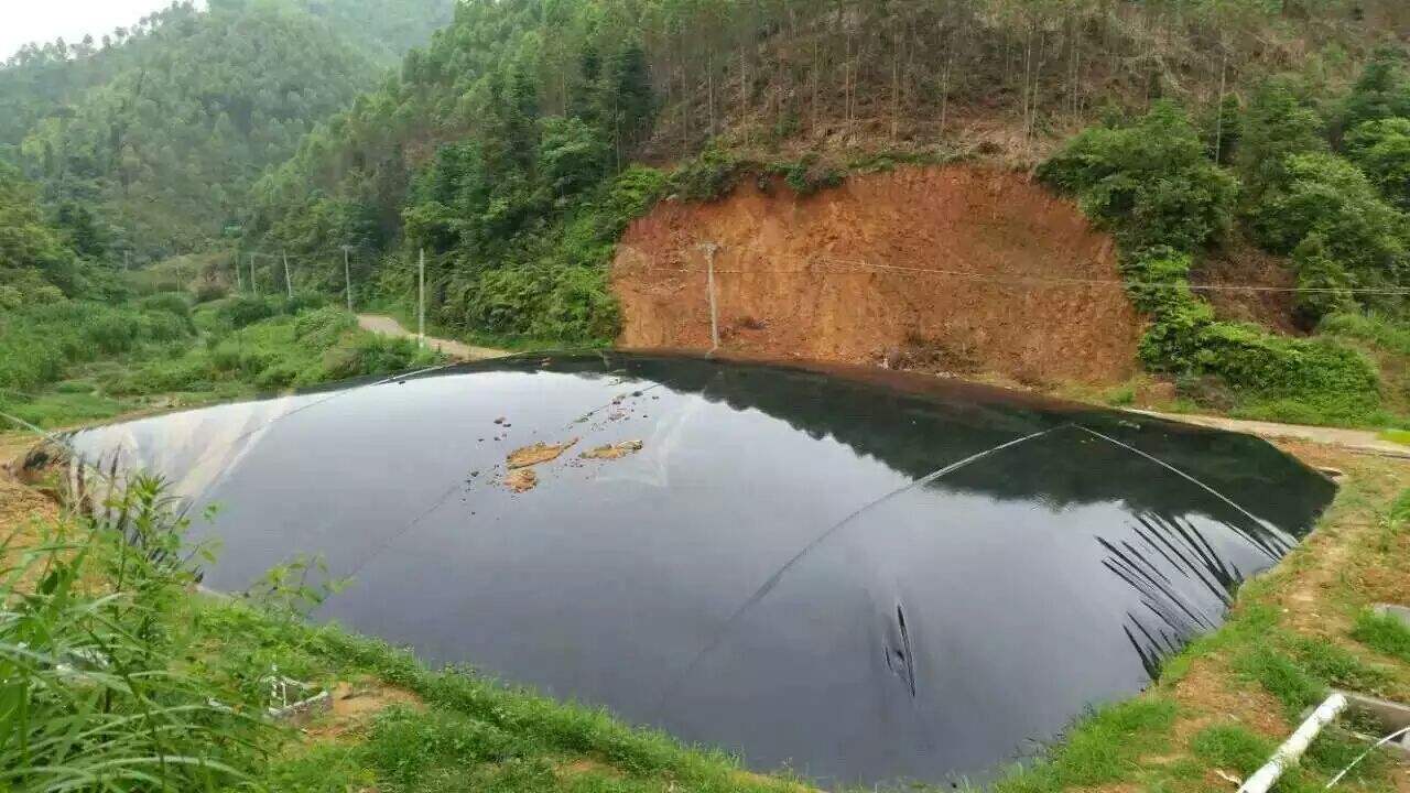 防滲土工膜 楊總 15698002197