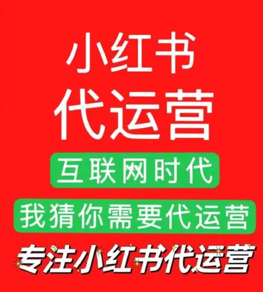 深圳龙华小红书代运营|大浪观澜民治小红书笔记推广