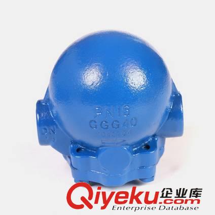 FT14-10蒸汽疏水閥DN20原始圖片3