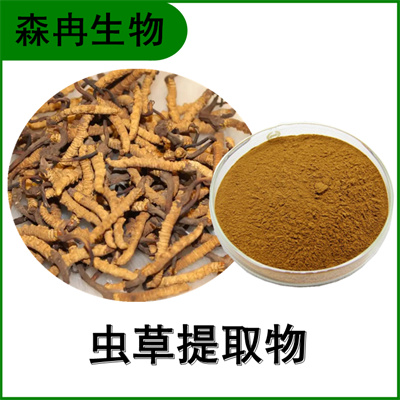 森冉生物 冬虫夏草提取物 冬虫夏草多糖 虫草提取物