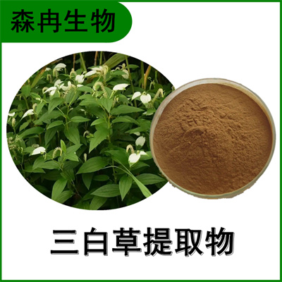 森冉生物 三白草提取物 白叶莲提取物 比例提取原料粉