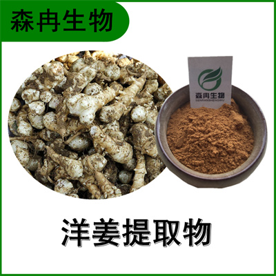 森冉生物 洋姜提取物 菊芋提取物 比例提取原料粉