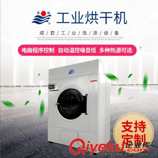 供應泰鋒牌HG-20工業烘干機 蒸汽加熱電加熱可選 電腦控制