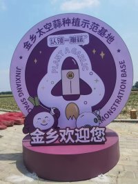 金鄉(xiāng)太空大蒜種子原始圖片3