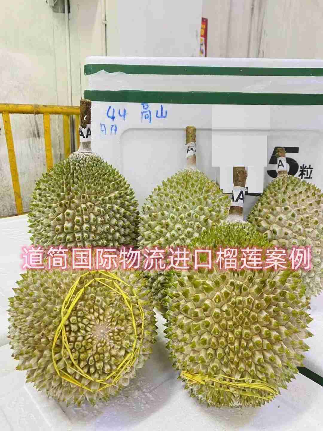 南沙港進口泰國干堯榴蓮報關代理公司原始圖片2