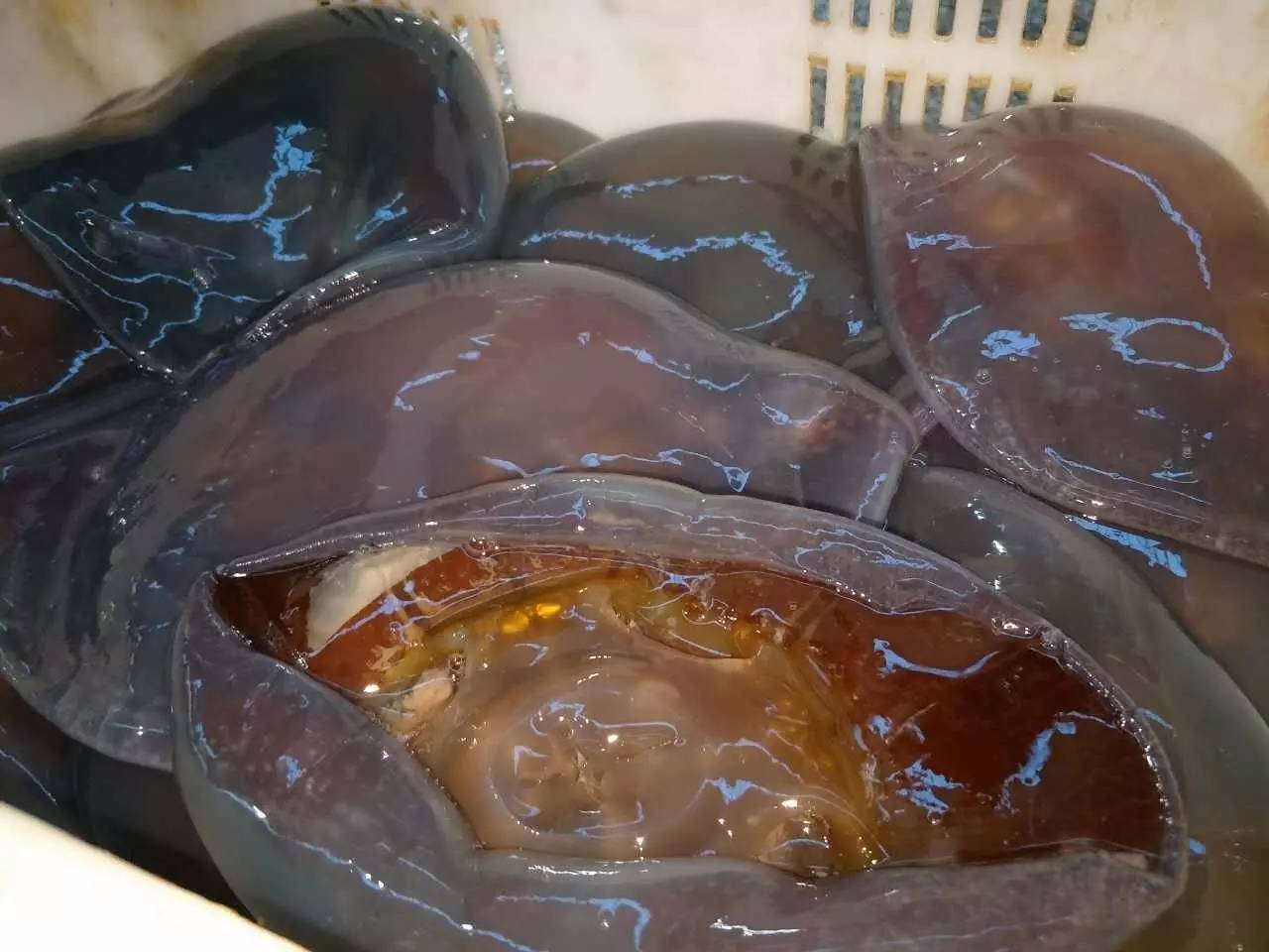 青島港土豆出口商檢清關流程我帶您了解一下