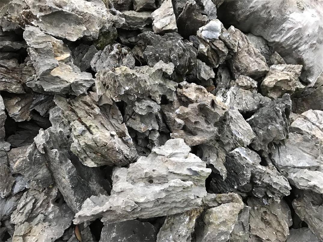 英德石假山石造景酸洗青龍石原石原始圖片2