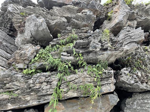 松滋水池疊水假山英石園林設(shè)計