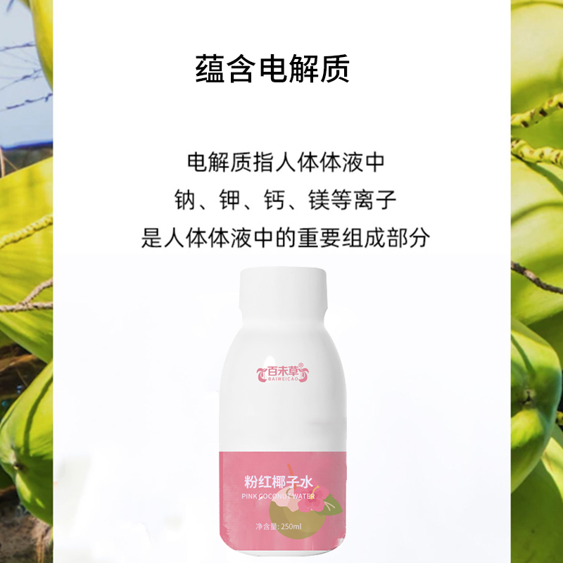 百未草粉紅椰子水加工零脂肪零添加電解質(zhì)水飲料OEM廠家原始圖片2