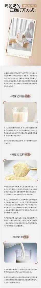 喝駝奶的正確方式